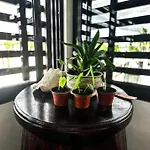 Dive Hotel Cozumel