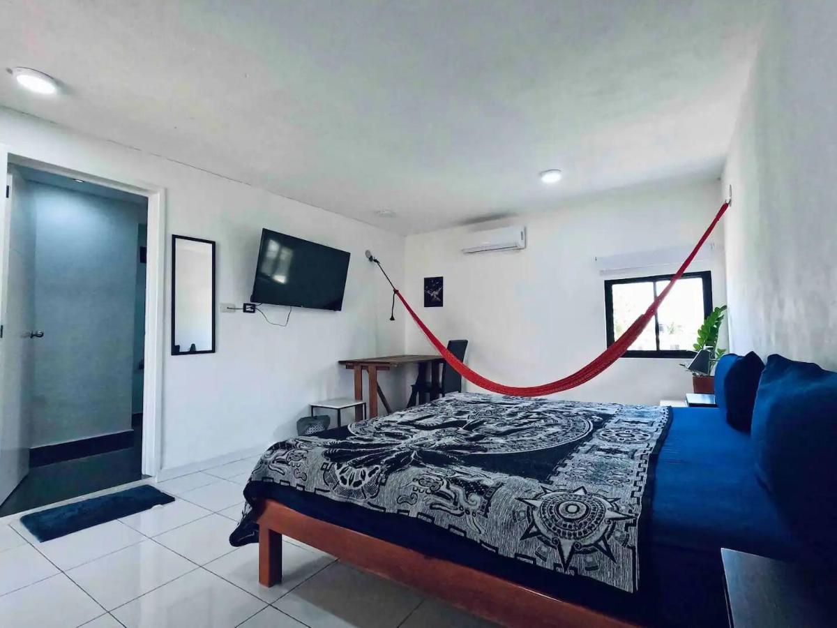 Mini-hôtel Dive Hotel Cozumel *