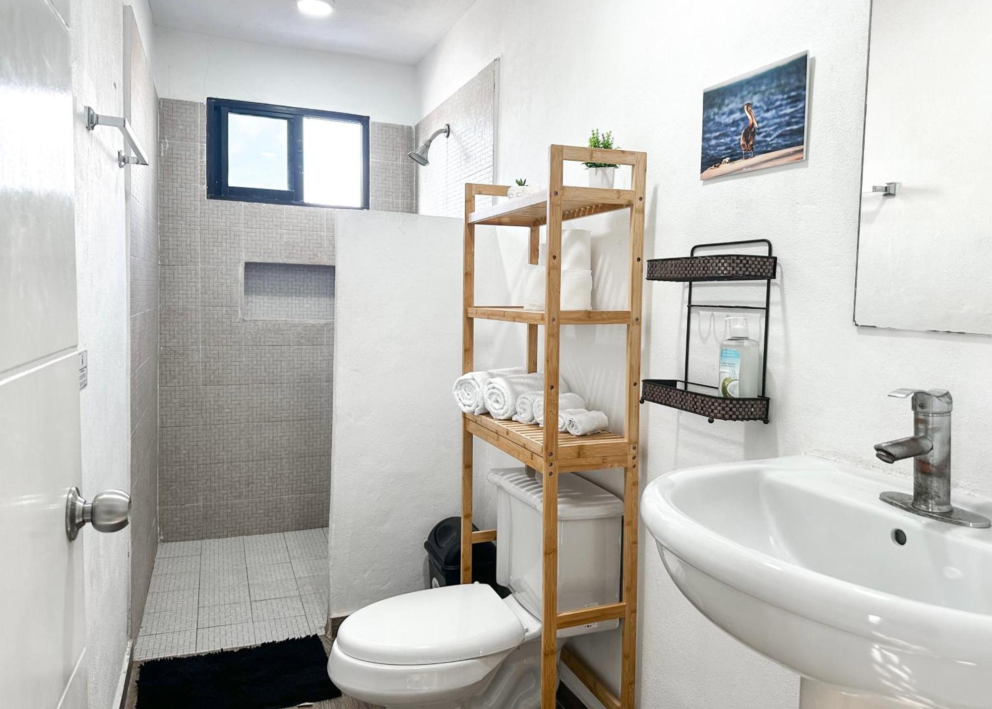 Dive Hotel Cozumel * Cozumel
