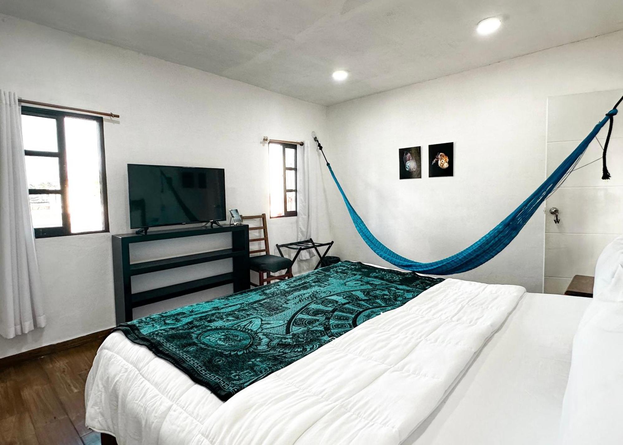 Dive Hotel Cozumel Mini-hôtel