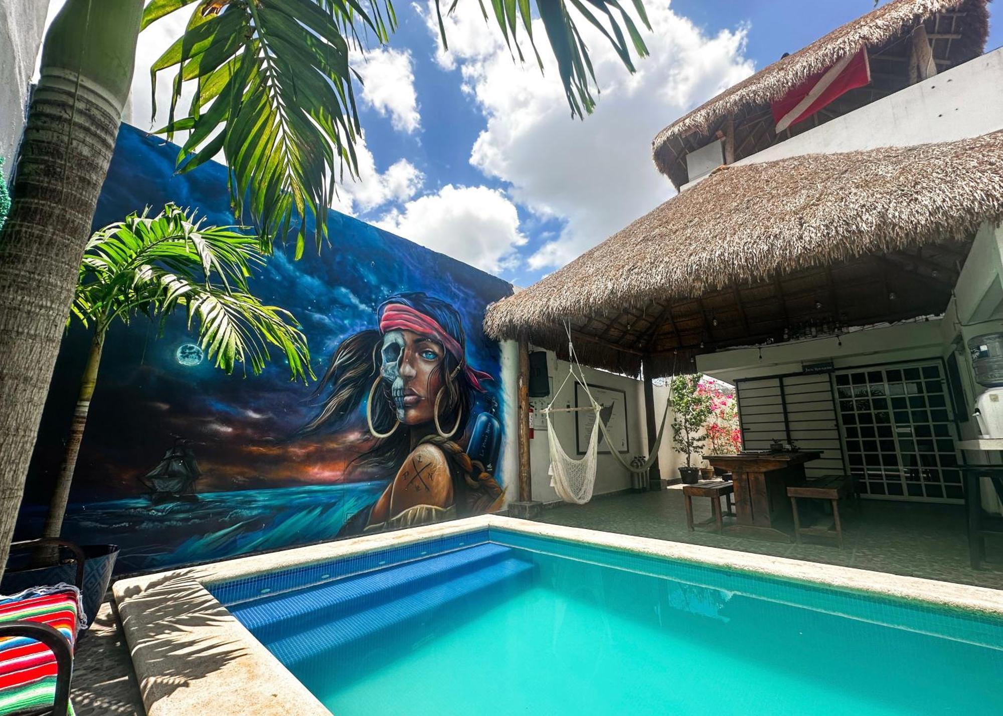 Mini-hôtel Dive Hotel Cozumel Cozumel